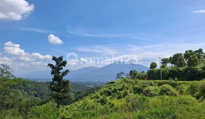 Tanah Bagus Rata View Lepas Gunung Dekat Puncak Camp Halimun Tanah Bagus Rata View Lepas Gunung Dekat Puncak Camp Halimun