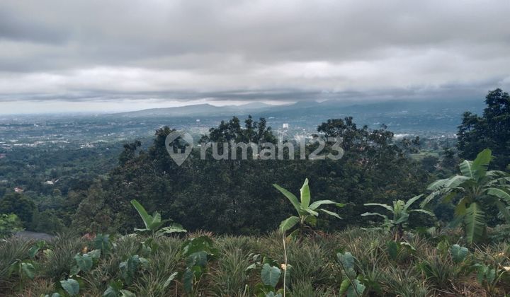 Tanah Untuk Villa+rumah Singgah View Lepas Ke Gunung Gede 