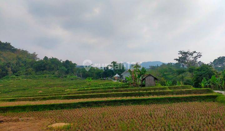 Tanah Sawah Produktif Asri Sangat Strategis View Lepas  1