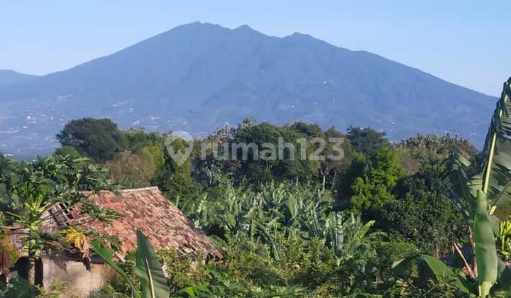 Tanah Sudah Tertata Ada Gazebo View Lepas Ke Gunung Salak