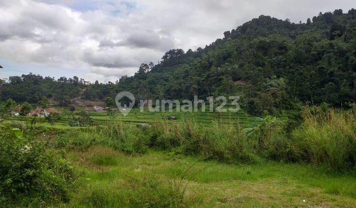 Tanah Untuk Investasi+wisata Sangat Strategis Dkt Kali Sungai 2