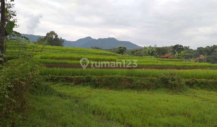 Tanah Kebun Sangat Strategis View Lepas Ke Gunung  2