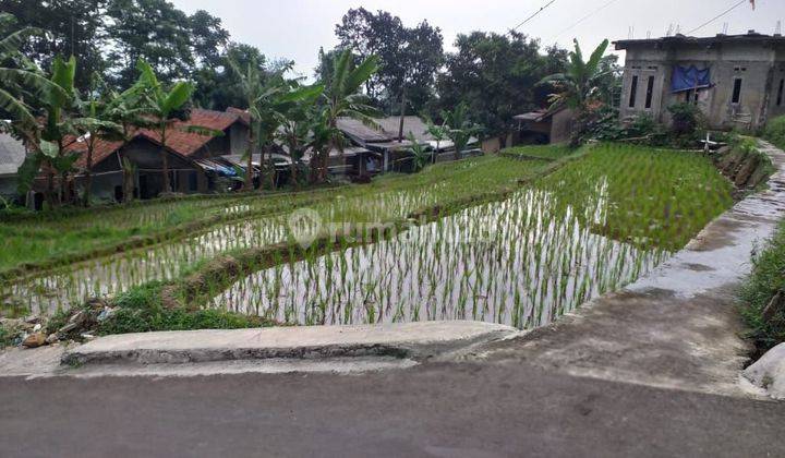 Tanah Sawah Untuk Rumah+Villa Sangat Strategis View Lepas  2