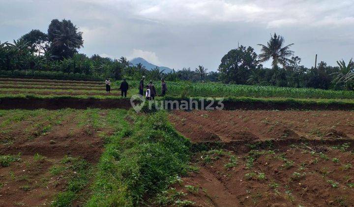 Tanah Untuk Investasi+Berkebun Untuk Pensiun View Lepas  1