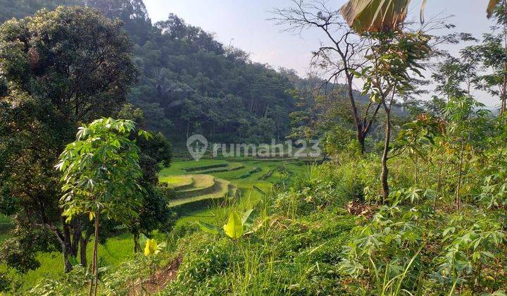 Tanah Kebun Sangat Strategis View Lepas Untuk Villa+Rumah  1