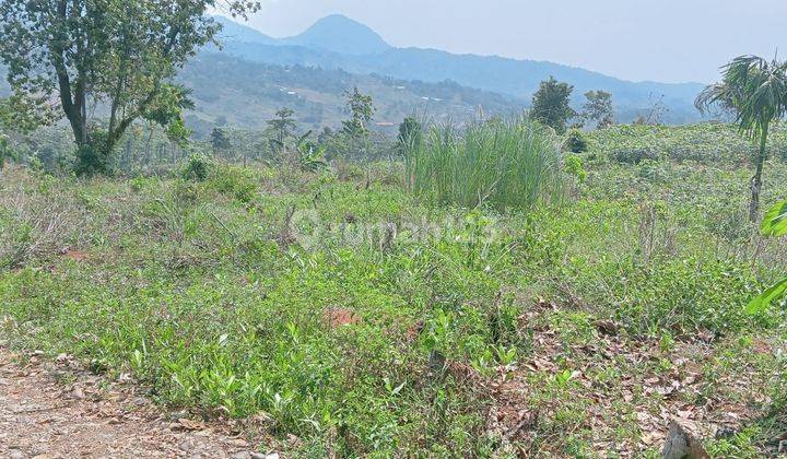 Tanah Rata Untuk Investasi Kebun View Lepas Ke Gunung  2