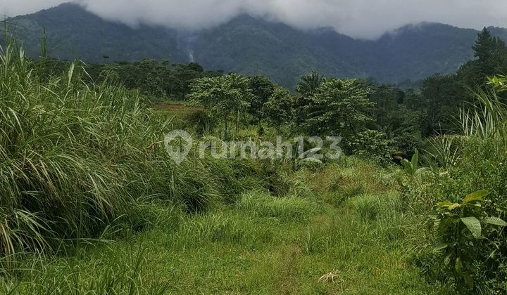 Tanah Sangat Startegis View Lepas Gn Salak untuk Kebun+Wisatacafe Tanah Sangat Startegis View Lepas Gn Salak untuk Kebun+Wisatacafe