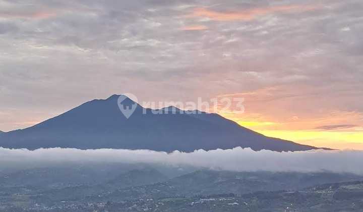 Good Flat Land with Mountain View, Gd Pangranggo + Salak Good Flat Land with Mountain View, Gd Pangranggo + Salak