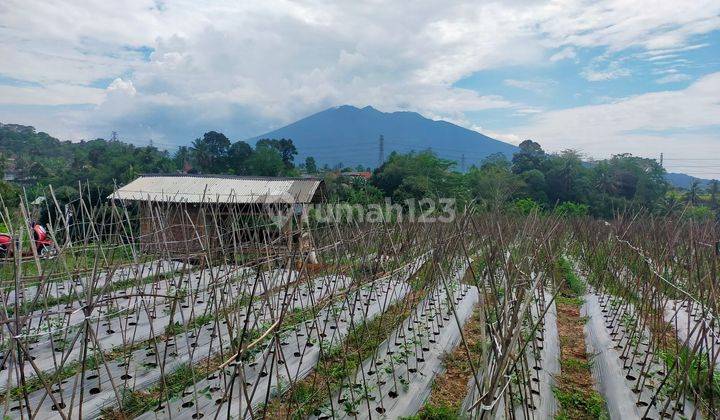 Tanah Full View 2 Gunung Sangat Strategis Untuk Investasi+Villa 2