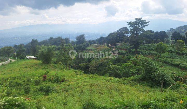 Tanah Rata Bagus View Lepas Gunung+kota Untuk Villa+rumah Tinggal 1