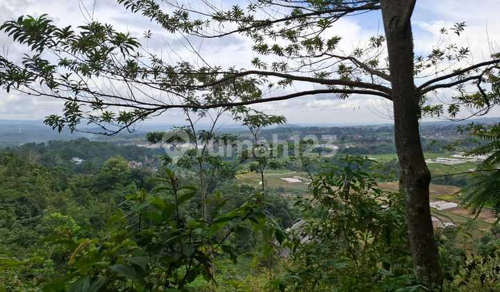 Tanah Untuk Kebun Investasi+wisata Sangat Strategis View Lepas