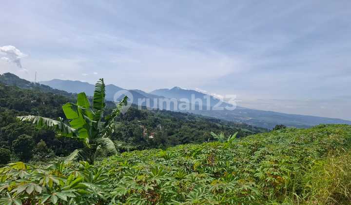 Tanah Bagus Untuk Villa View Lepas Dekat Taman Fathan Hambalang