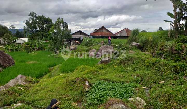 Tanah Dekat Kali Sungai View Lepas Gunung Tanah Dekat Kali Sungai View Lepas Gunung