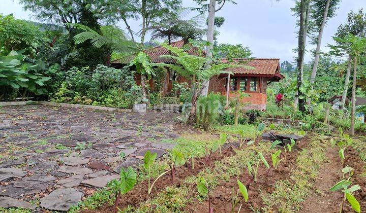 Villa Kebun Siap Huni Sangat Strategis Dekat Wisata View Lepas 2