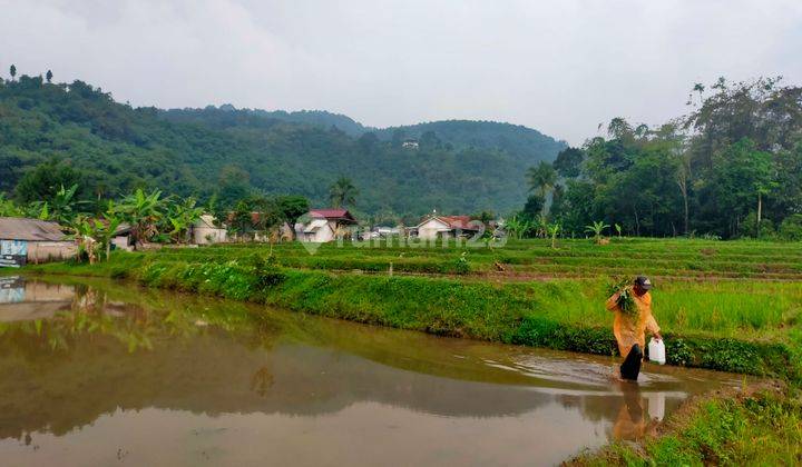 Tanah Sawah Produktif Sangat Strategis View Lepas Ke Gunung  1