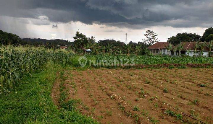 Tanah Untuk Investasi+Berkebun Untuk Pensiun View Lepas  2