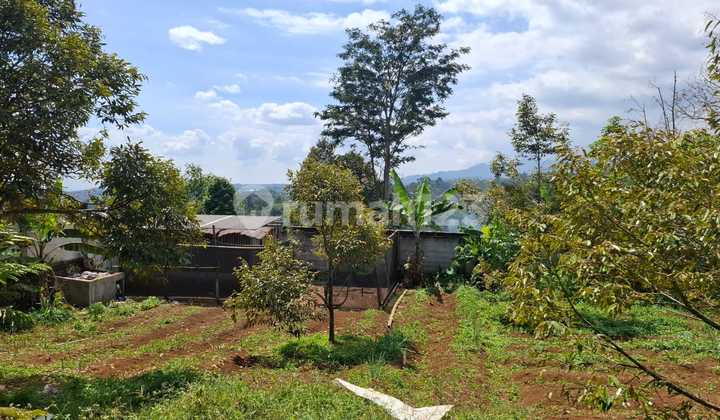 Durian Orchard Land Fenced with Open View Near Cafealam