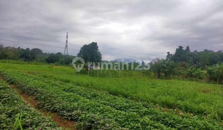 Garden Land for Strategic Retirement Investment with Mountain View. Garden Land for Strategic Retirement Investment with Mountain View.