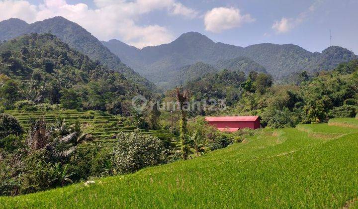 Tanah Sawah Produktif Sangat Strategis Full View  2