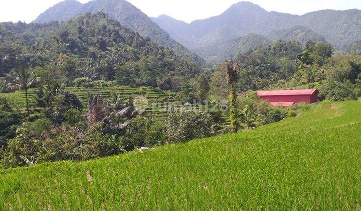 Tanah Sawah Produktif Sangat Strategis Full View  1