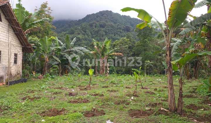 Tanah Kebun View Lepas Bagus Gunung Untuk Villa+masa Pensiun 