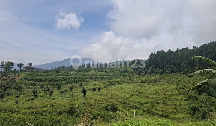 Tanah Bagus untuk Wisata+Kebun Sangat Startegis View Lepas Gunung Tanah Bagus untuk Wisata+Kebun Sangat Startegis View Lepas Gunung