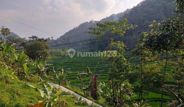 Tanah Kebun Sangat Strategis View Lepas Untuk Villa+Rumah  2