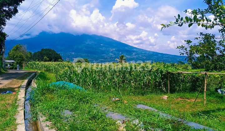 Good Flat Land with Views, Free from Mount Salak, Very Strategic