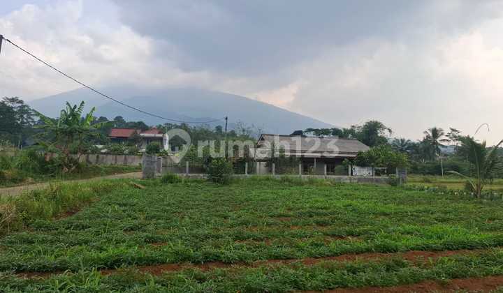 Land with Mountain Views for Investment+villa+garden Land with Mountain Views for Investment+villa+garden