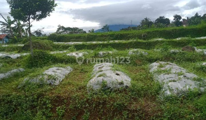 Tanah Rata Untuk Villa+kebun Sangat Strategis View Gunung 1