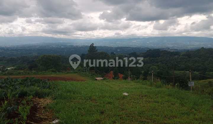 Tanah Untuk Wisata Villa Glamping View Lepas Ke Gunung 