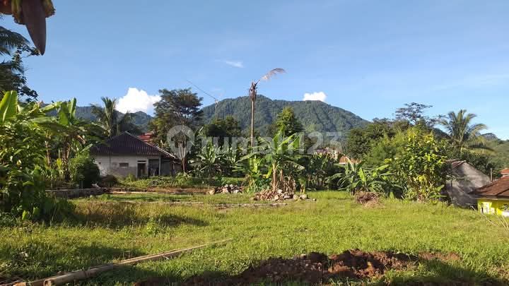 Tanah Sawah Sangat Stategis View Gunung Air Bagus