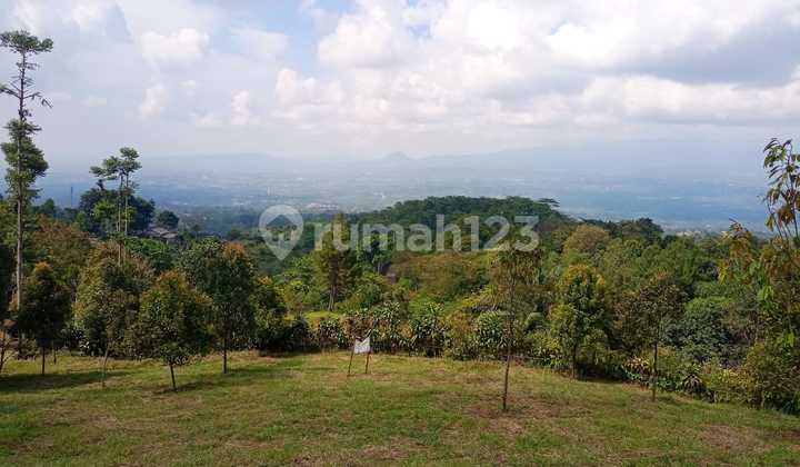 Tanah Bagus Tertata Rapih Sangat Strategis View Lepas Gunung