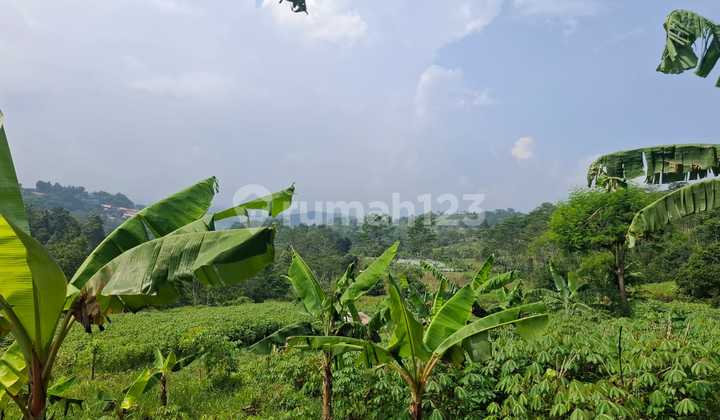 Land For Garden+Villa+Investment Highly Strategic Mountain View Land For Garden+Villa+Investment Highly Strategic Mountain View