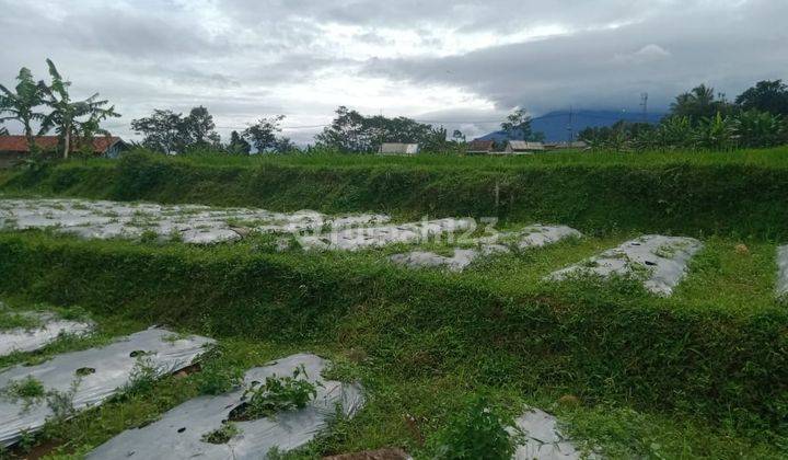 Tanah Rata Untuk Villa+kebun Sangat Strategis View Gunung 2