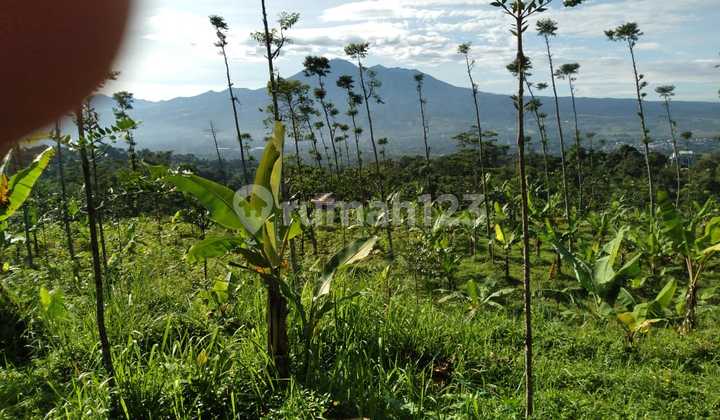 Tanah Rata Full View Gunung Untuk Villa+wisata Cafe Resort
