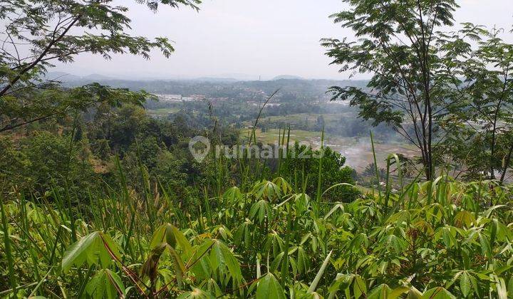 Tanah Kebun Investasi View Lepas Ke Gunung Sangat Strategis  1