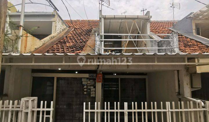 Rumah Tua Gang Delima 2 Tanjung Duren Dekat Pasar Kopro 64m2 Shm 1