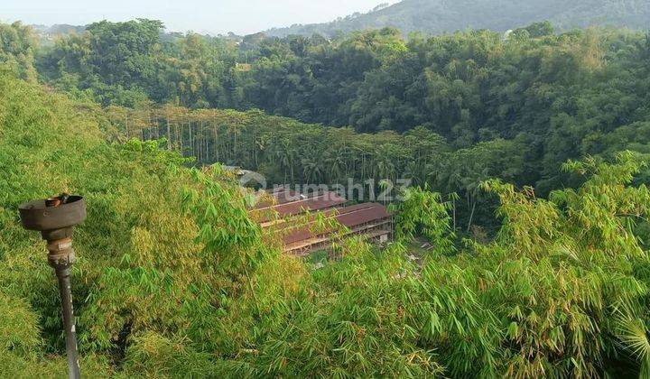 Dijual Peternakan Ayam Telur Dan Sapi Perah 2,8 H Area Cianjur 2