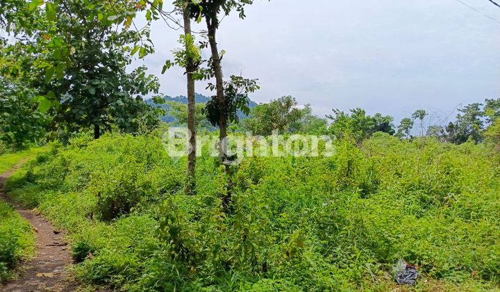 Dijual tanah samping kebun raya Purwodadi - Pasuruan