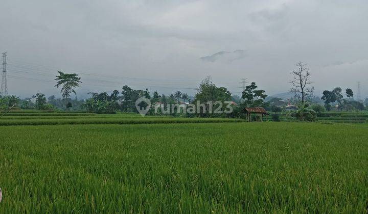 Kavling Tanah Luas Murah Di Ciparay Bandung 1