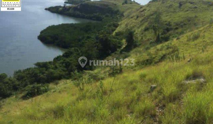 DI  CEPAT KAVLING SANGAT LANGKA DI LABUAN BAJO, NTT 2