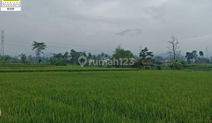 Kavling Tanah Luas Murah Di Ciparay Bandung 1