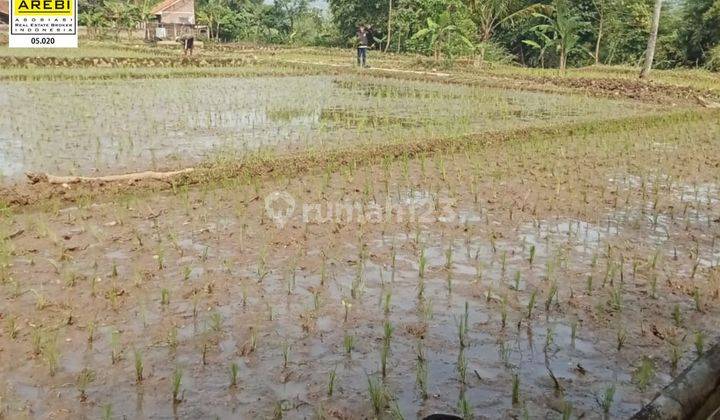 Jual Tnah Kotak Binus Rumah Di Exit Tol Kutawaringin Soroja Belakang Sungai Ciwidey  2