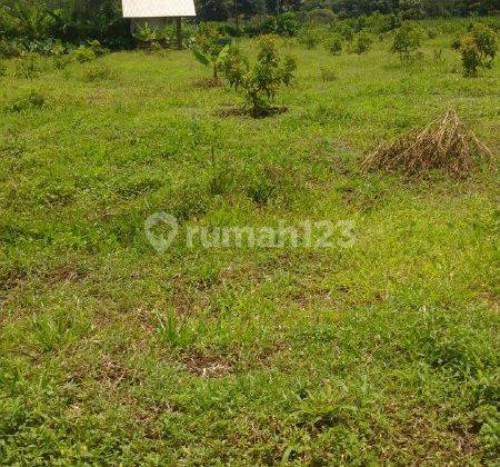 Tanah Siap Bangun di Gelanggan Pakisaji Malang Strategis  2