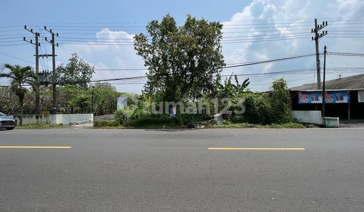 Tanah di Jalan Gatot Subroto Lumajang Lokasi Strategis  2