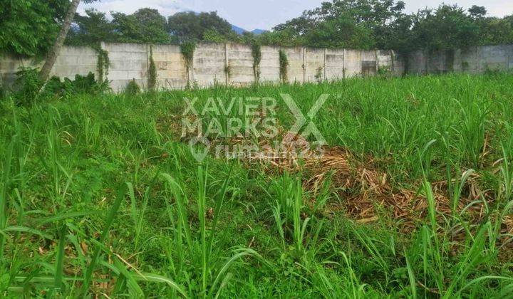 Tanah Murah di Dusun Gentong Singosari Malang Strategis 1