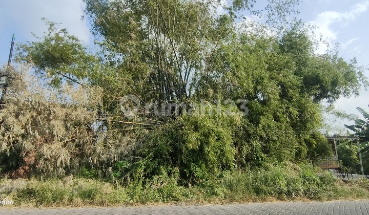 Bu Sebidang Tanah Cocok Untuk Gudang Atau Home Industri Ukuran 8 X 30 Depan Sawah Row Jalan Lebar Lokasi Di Driyorejo/ Menganti