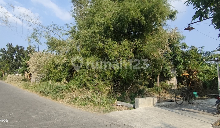 Bu Sebidang Tanah Cocok Untuk Gudang Atau Home Industri Ukuran 8 X 30 Depan Sawah Row Jalan Lebar Lokasi Di Driyorejo/ Menganti