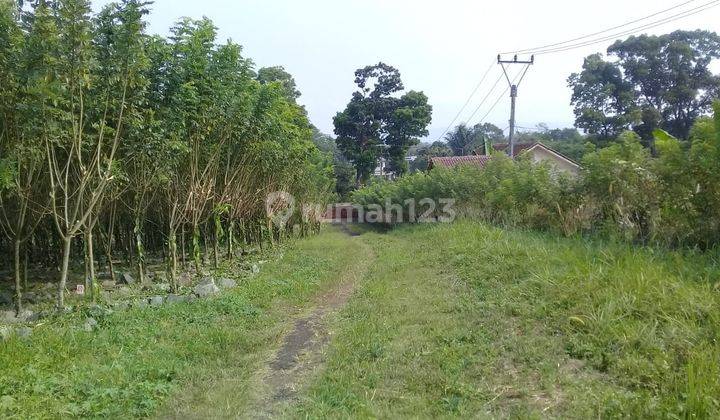 Dijual tanah di Jl.pelabuhan ll km.29.9 dusun simpenan sukabumi 3